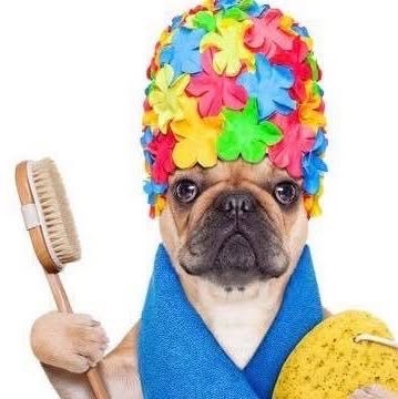 Shellie’s Grooming logo