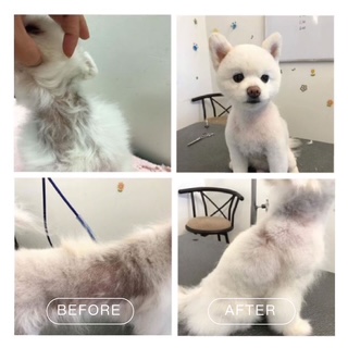 Hydrobath before and after skin and coat result